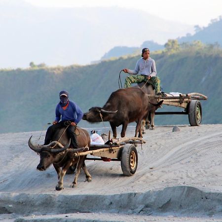 Bognot Lodge : Alvin Bognot Mt Pinatubo Guesthouse And Tours Santa Juliana Εξωτερικό φωτογραφία