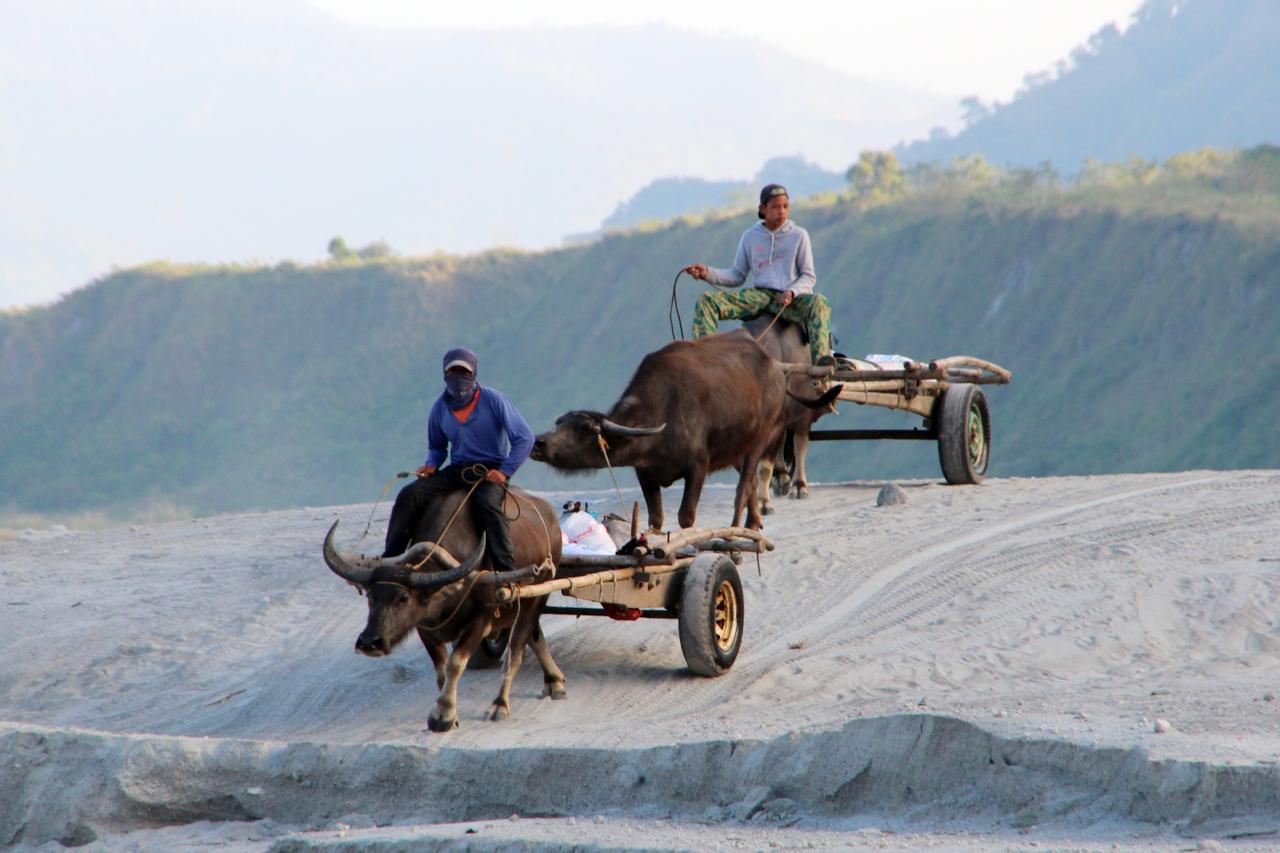 Bognot Lodge : Alvin Bognot Mt Pinatubo Guesthouse And Tours Santa Juliana Εξωτερικό φωτογραφία